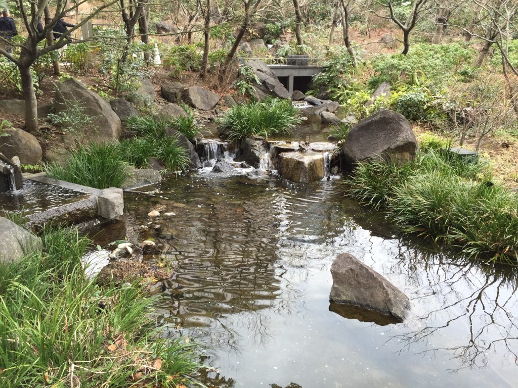 Parc naturel dans le complexe Roppongi Hills