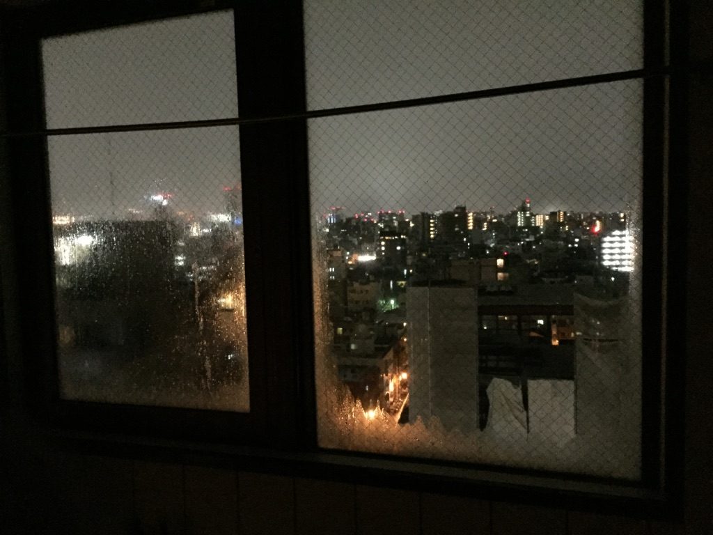 Vue sur Tokyo