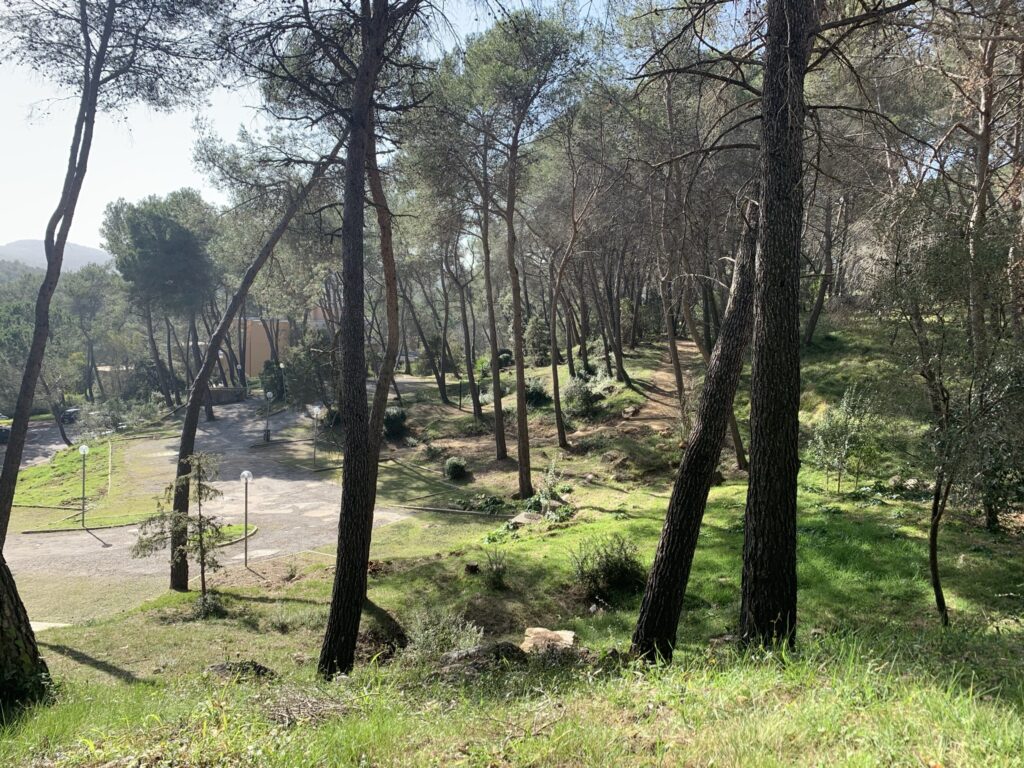 Que voir à Sophia Antipolis dans les Alpes-Maritimes